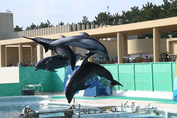 鴨川シーワールド