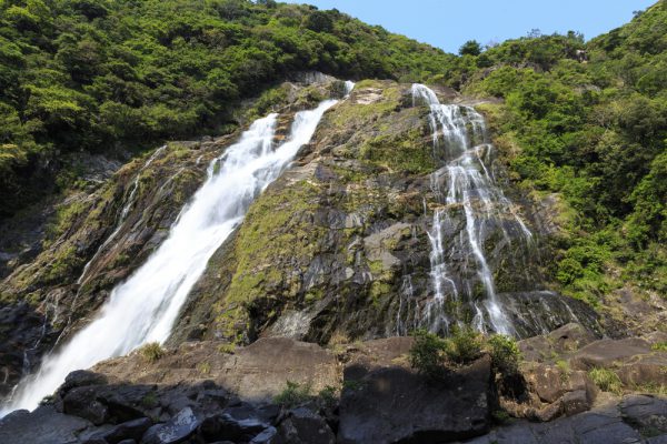 2015年は屋久島へ行きました