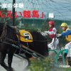 職場のみんなで盛り上がろう！北海道で「ばんえい競馬」