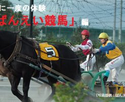 ばんえい競馬を見に行こう