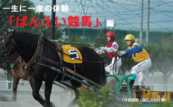 ばんえい競馬を見に行こう