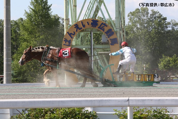 ゴール寸前まで気が抜けないばんえい競馬