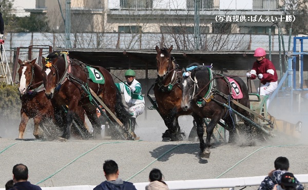 ばんえい競馬ではゴールまで休憩しながらレースが進む