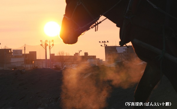 早起きしてみる価値あり！朝調教ツアー