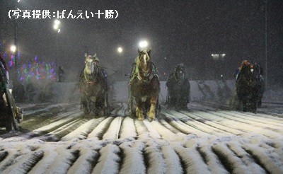 北海道・十勝にしかないばんえい競馬場