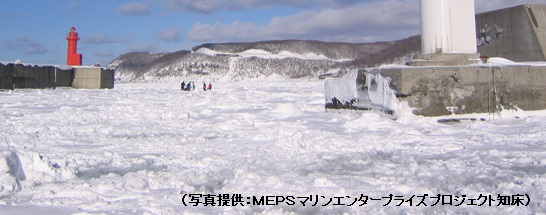 流氷ウォーク体験の一例