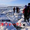 冬の北海道で団体で楽しめる超限定アクティビティ「流氷ウォーク」