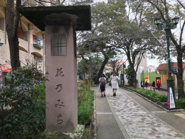 写真：撮影Mさん（宝塚駅から大劇場までの「花の道」）