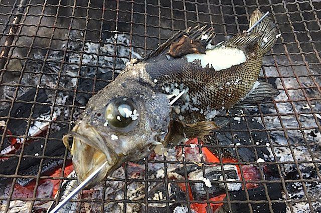 食べ物は自分たちで調達