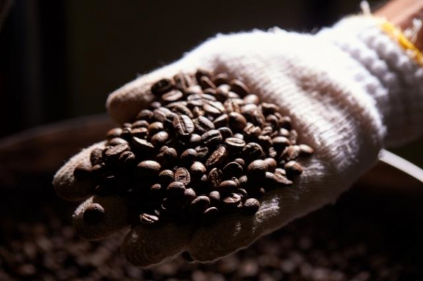 焙煎済のコーヒー豆