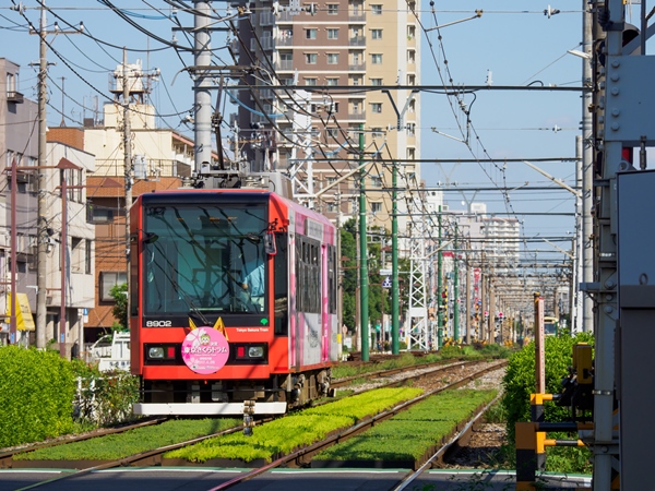 荒川都電も貸切運行OK