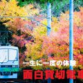 面白電車貸切編