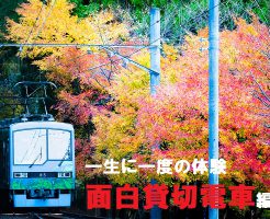 面白電車貸切編