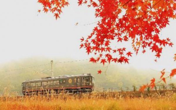 ウィラーのレストラン列車