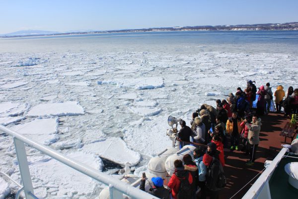 砕氷船おーろら号から流氷を間近で観察