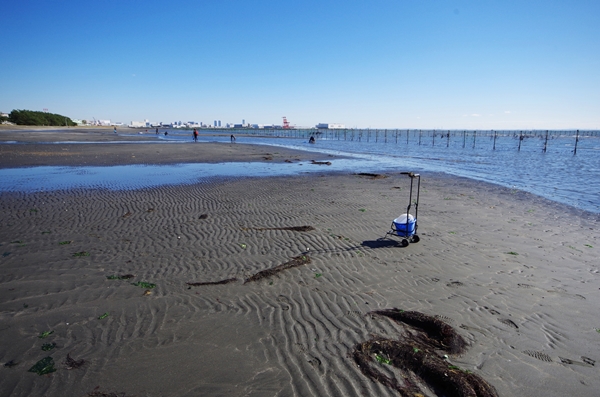 船橋三番瀬海浜公園