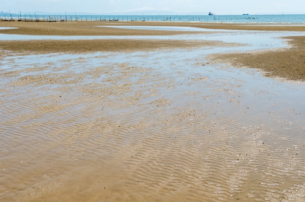 兵庫・白浜潮干狩場