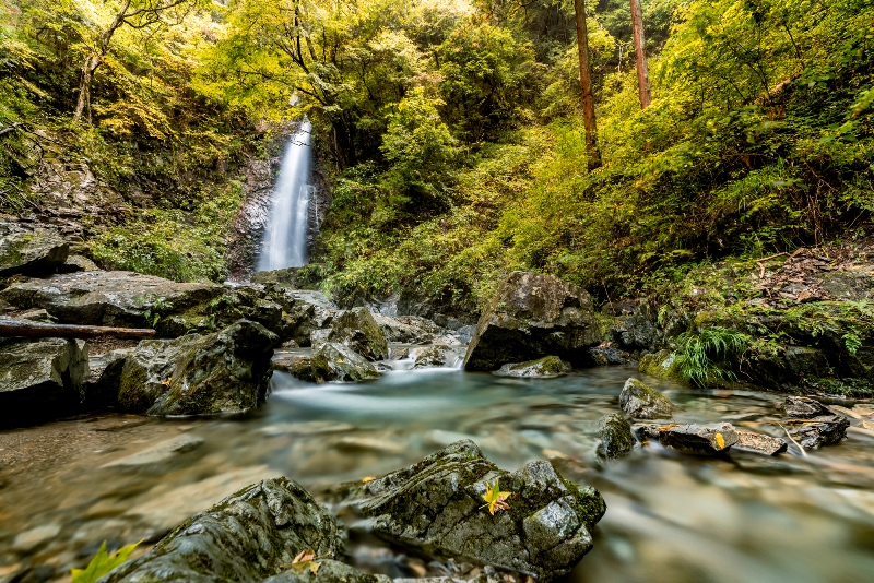 檜原村・払沢の滝