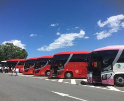 5月の日帰りバス旅行関西エリア