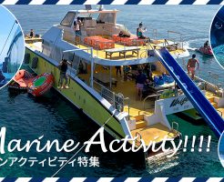 OPG沖縄アクティビティおすすめのプラン