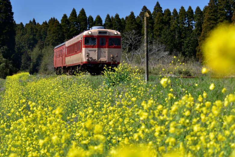 いすみ鉄道貸切プラン