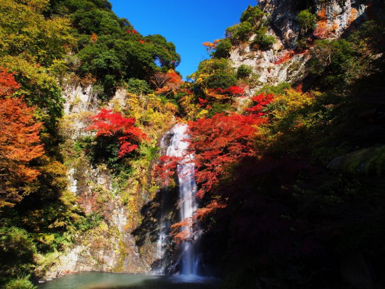 箕面の大滝・紅葉