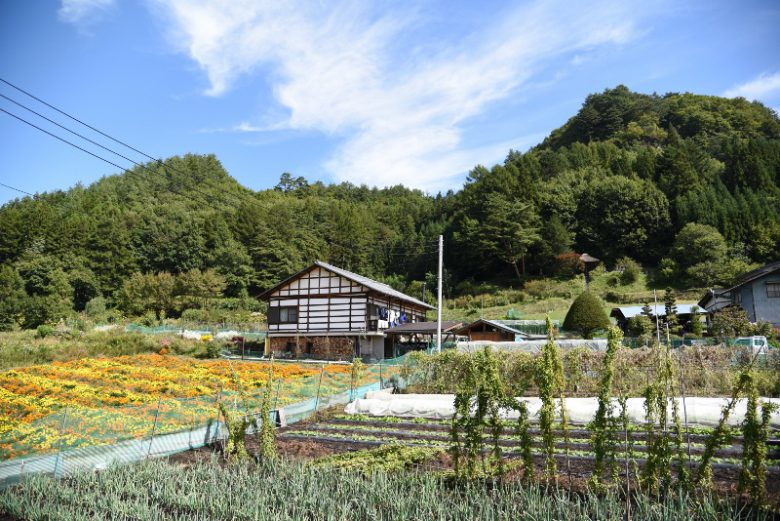 中条町の風景