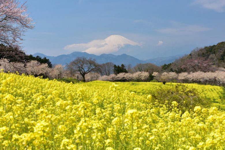 大井町から見える富士山