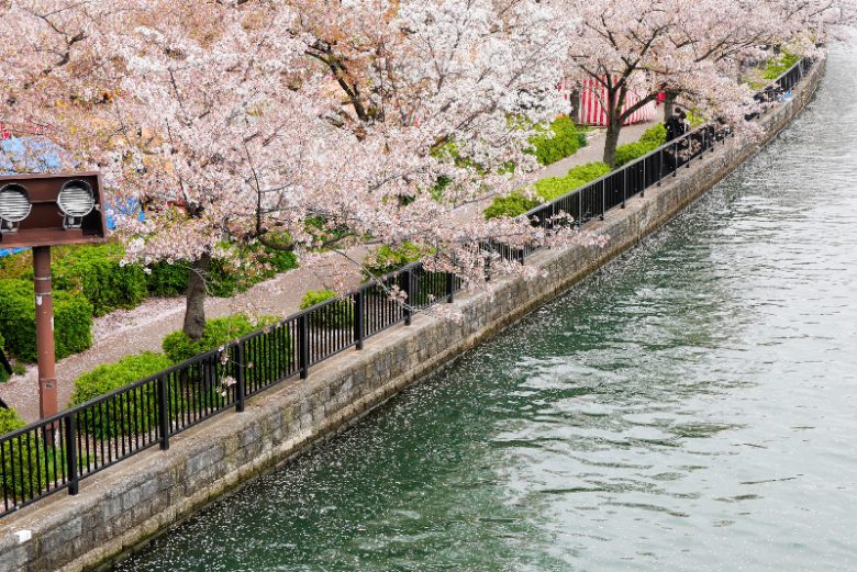 大阪造幣局・桜の通り抜け