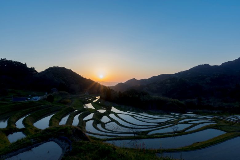 大山千枚田