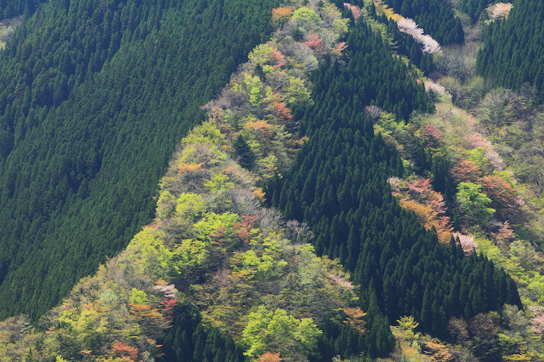 行者還岳