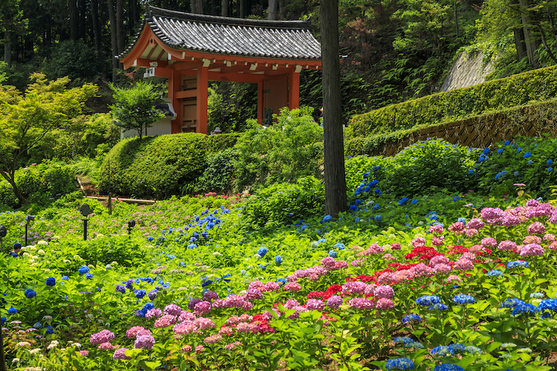 三室戸寺