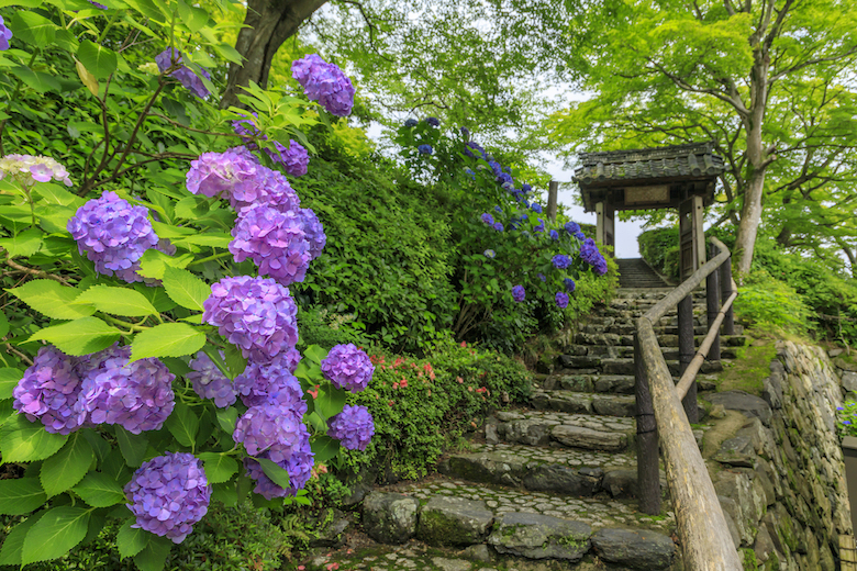 善峯寺