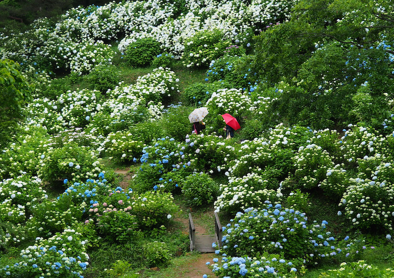 舞鶴自然文化園