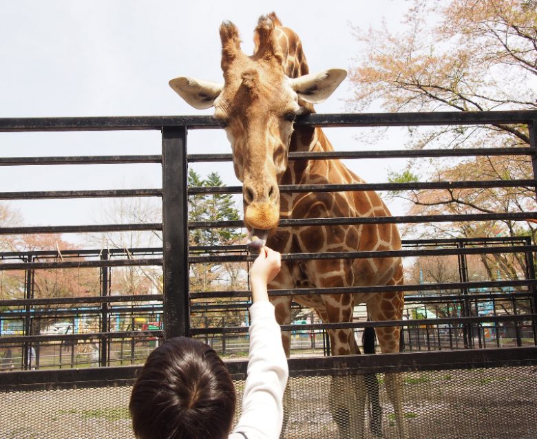 宇都宮動物園