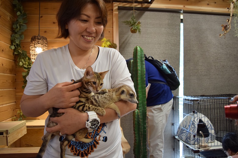 ミーアキャットと仲良しのベンガルキャット