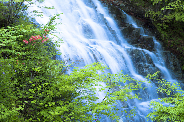 四万温泉近くのしゃくなげの滝