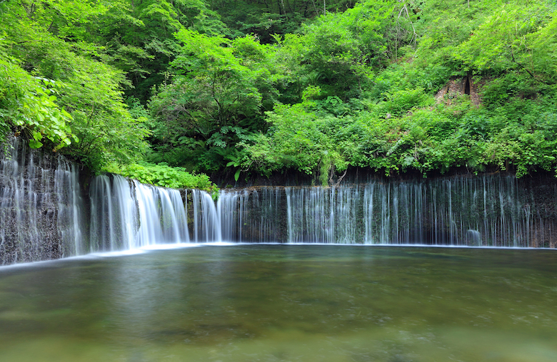 富士宮市の白糸の滝は世界遺産の一部