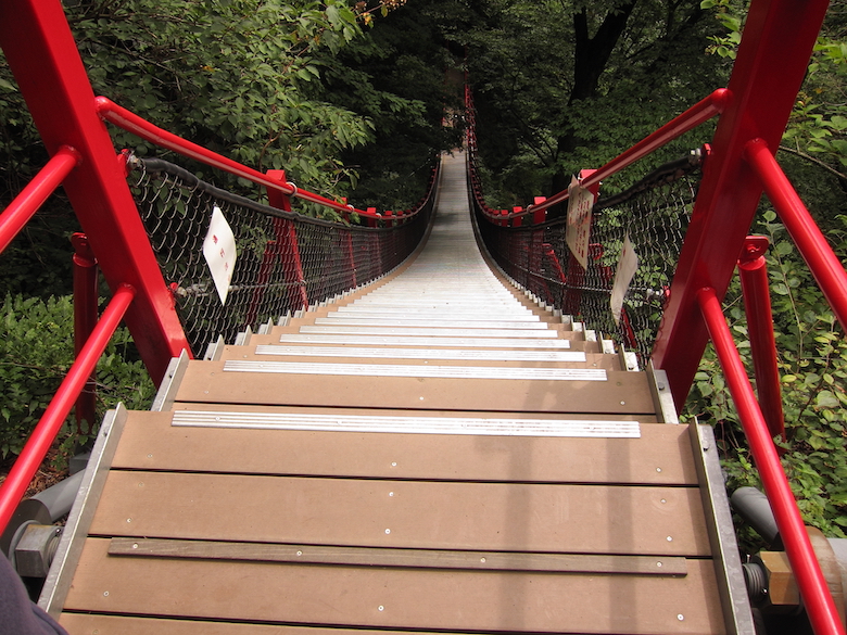 スリリングなけさかけ橋