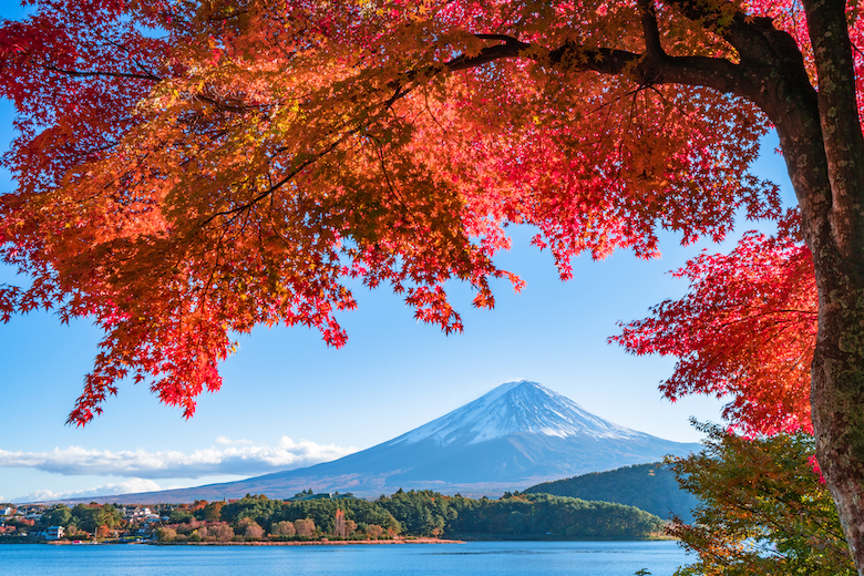 関東エリア発10月におすすめの日帰りバス旅行プランまとめ