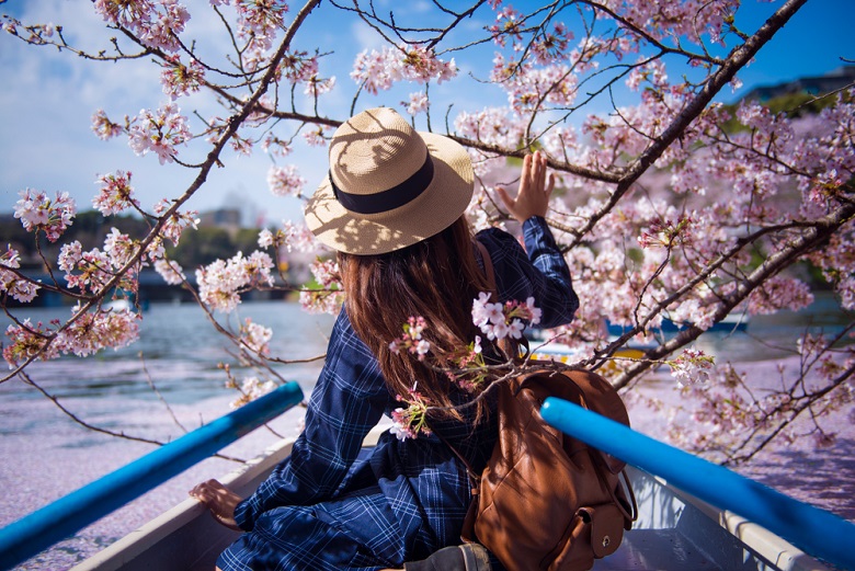 4月の社員旅行でおすすめの場所まとめ