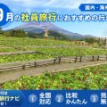 9月の社員旅行におすすめの行き先