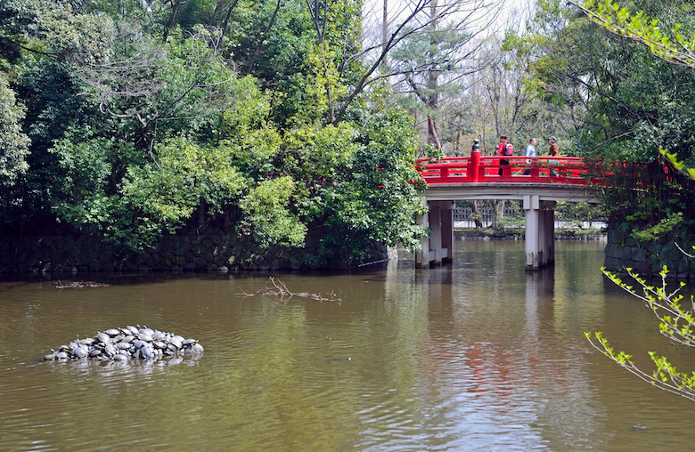 氷川神社・神池