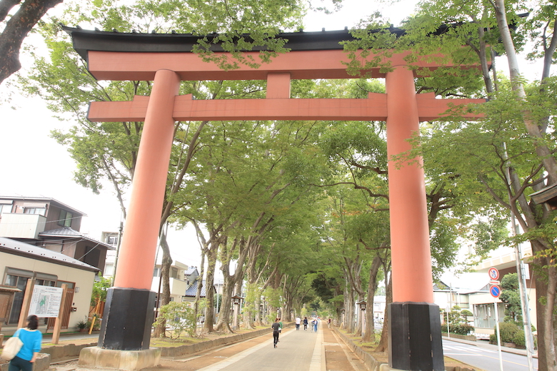 パワースポット・氷川神社の参道