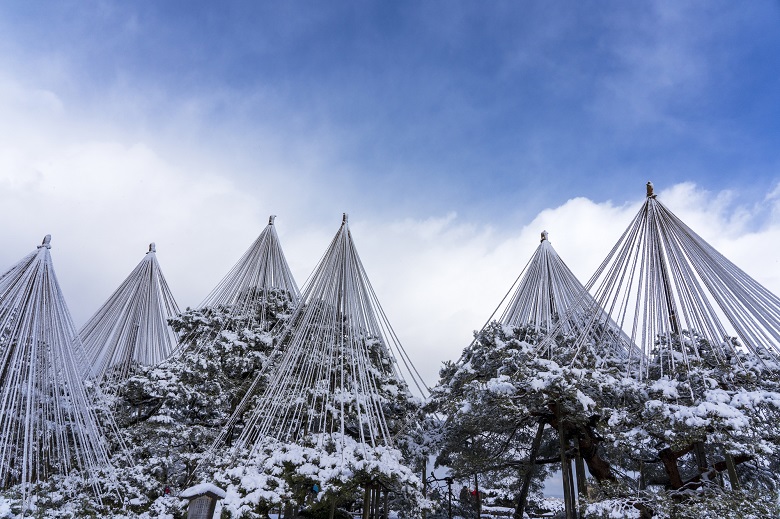 兼六園の雪吊り