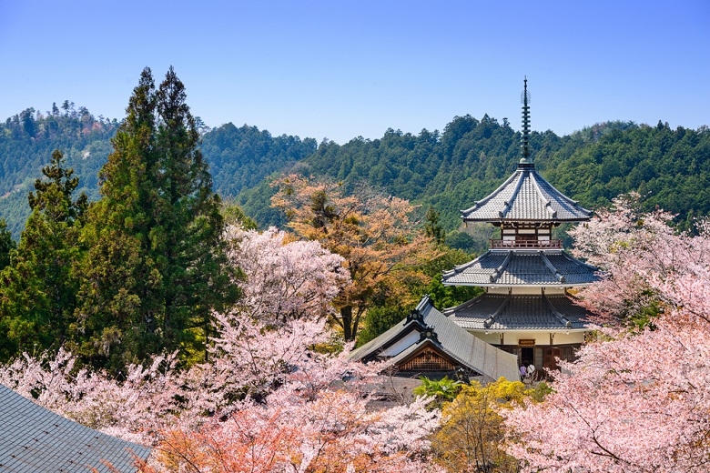 世界遺産・ 金峯山寺（きんぷせんじ）