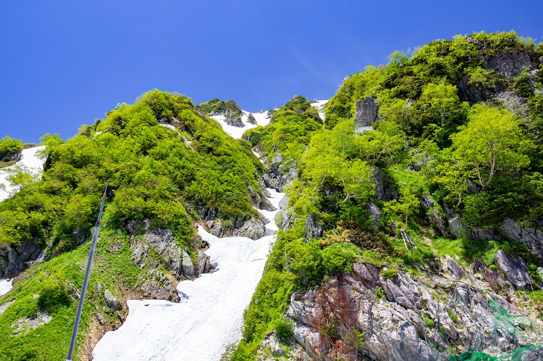 立山黒部アルペンルート