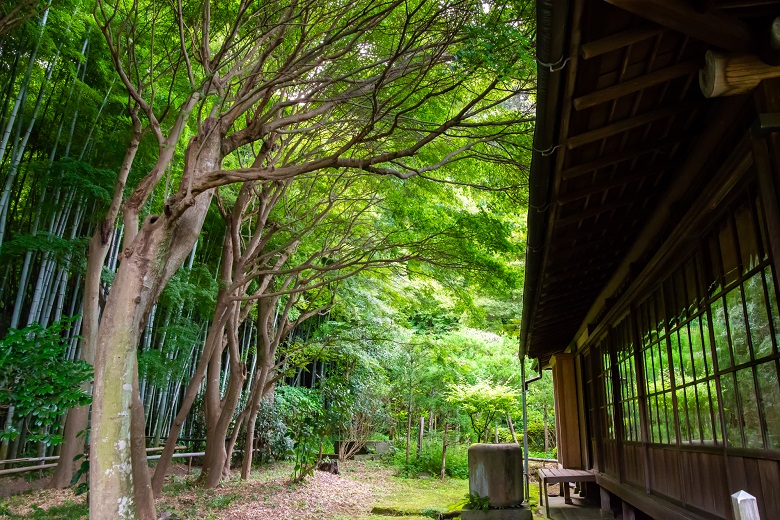 竹林が美しい鎌倉・英勝寺