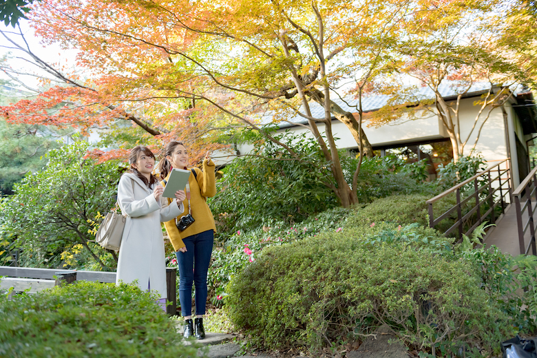 11月関東出発の日帰りバスツアープラン