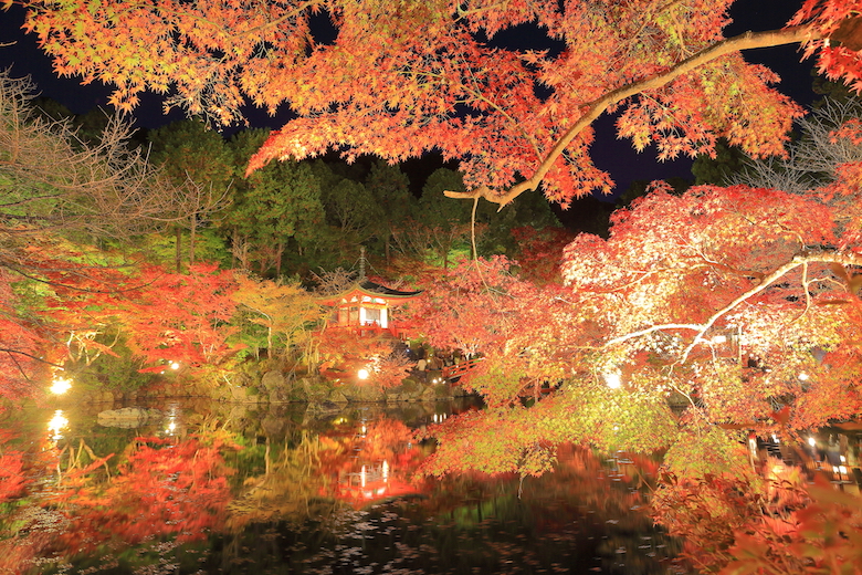 醍醐寺　夜間拝観の紅葉